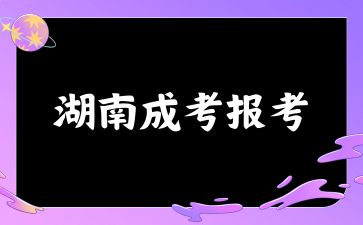 2024年湖南成考報考的流程